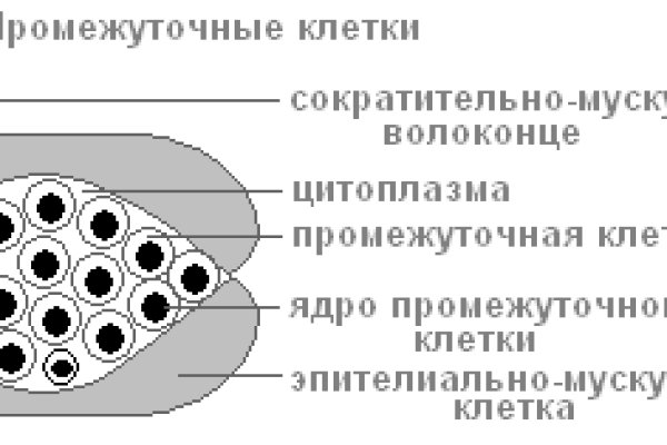 Кракен онион kraken dark link