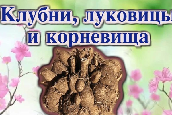 Магазин даркнета
