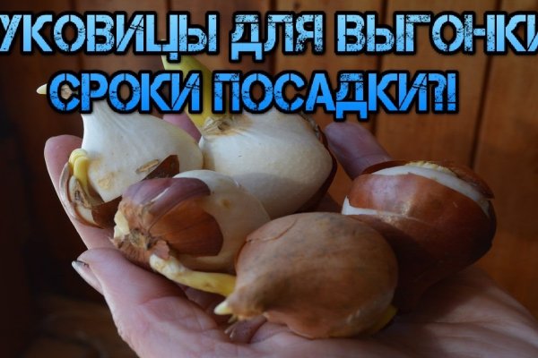 Почему в кракене пользователь не найден