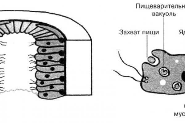 Kraken официальные зеркала