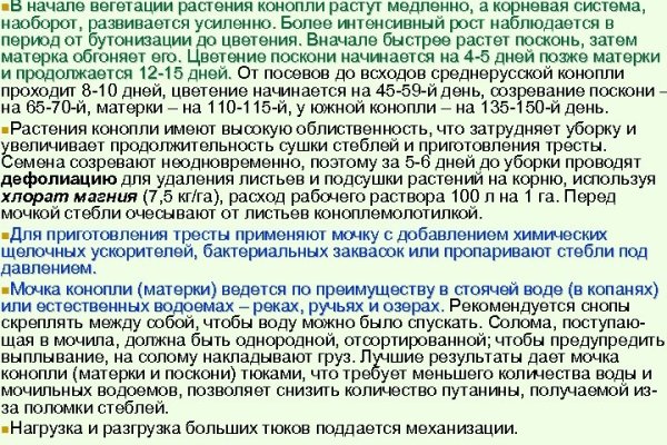 Кракен перейти