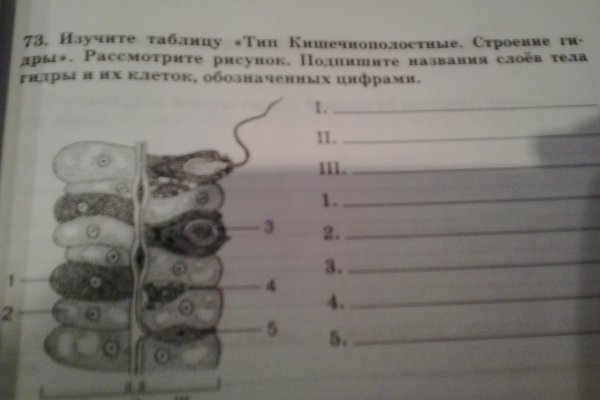 Ссылка кракен не работает