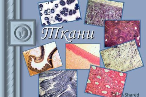 Kraken 6 at