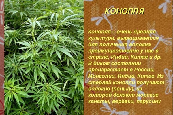 Даркнет кракен отзывы о платформе
